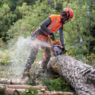 Corrente Husqvarna X-CUT C33 .325´ 050´/1.3 mm - ELO